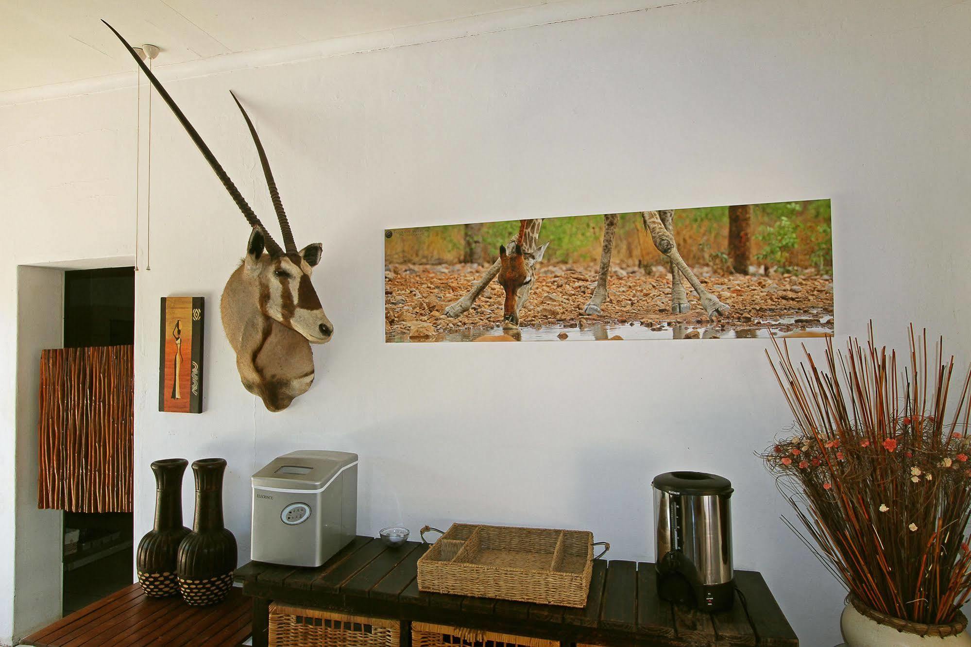 Normann Safari Bush Lodge Phalaborwa Esterno foto